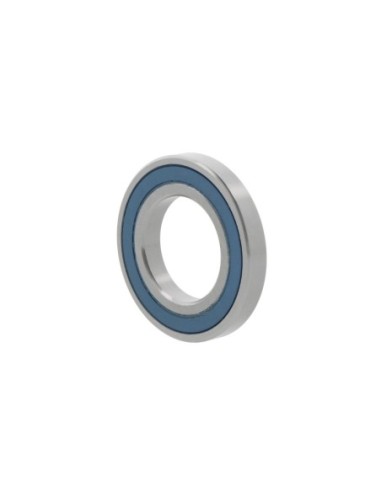 6007-2RS1 | SKF