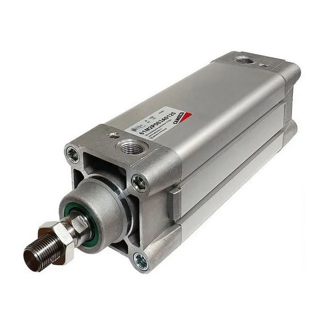 61M2P063A0100REX CILINDRI SERIE 61