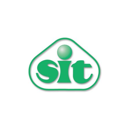 CINGHIA TRAPEZOIDALE DENTELLAT