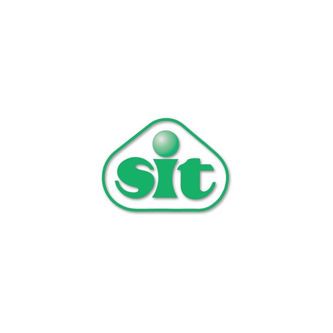 CINGHIA TRAPEZOIDALE WEDGE