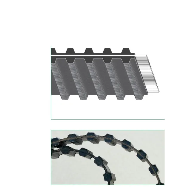 CINGHIA DENTATA 'DUAL'