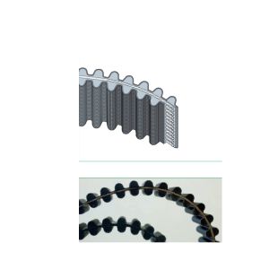 CINGHIA DENTATA HTD DUAL