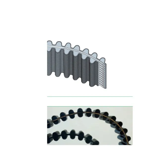 CINGHIA DENTATA HTD DUAL