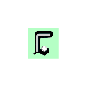 VITON PARAOLIO GP D.008X016X7 KAS