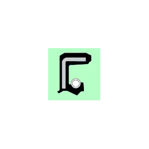 VITON PARAOLIO GP D.035X047X7