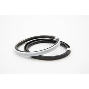 LRP 011-2025 PTFE CARB D.011X006,5X2