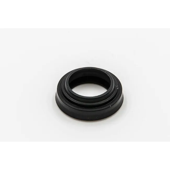 NIPSL 433162 D.050X060X6,5/9