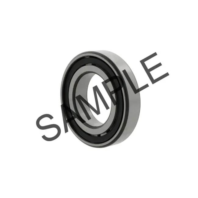 20215-TVP | FAG