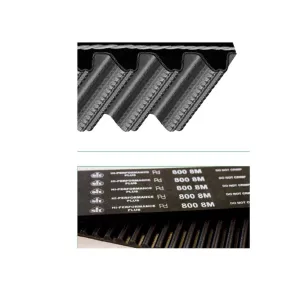 CINGHIA DENTATA 'HPPD' PLUS