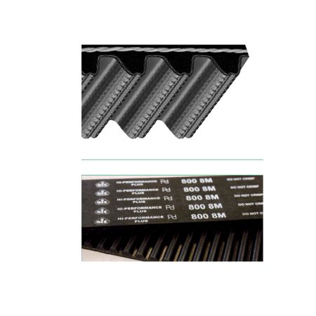 CINGHIA DENTATA 'HPPD' PLUS