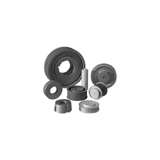 PULEGGIA DENTATA