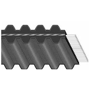 CINGHIA "DUAL" IN POLIURETANO