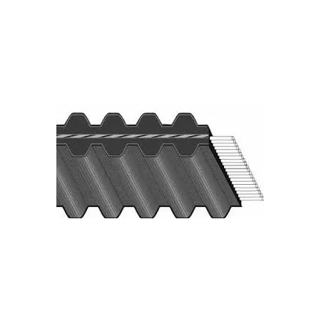 CINGHIA "DUAL" IN POLIURETANO