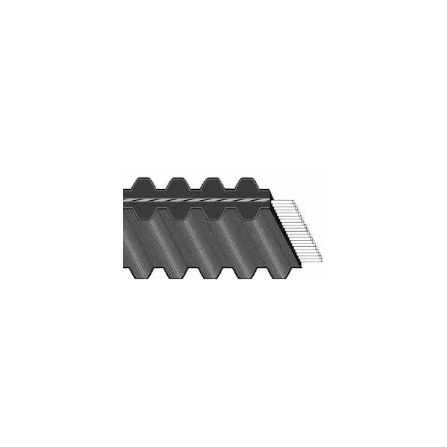 CINGHIA "DUAL" IN POLIURETANO