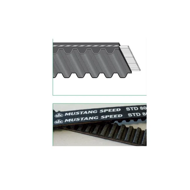 CINGHIA DENTATA SUPERTORQUE