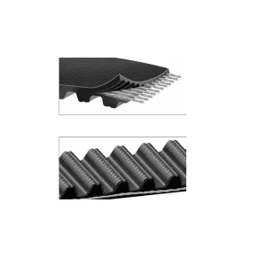 CINGHIA DENTATA 'BLACK HAWK'