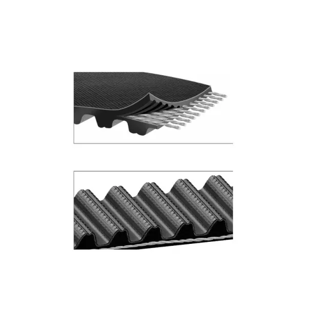 CINGHIA DENTATA 'BLACK HAWK'