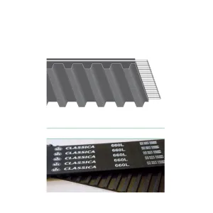 CINGHIA DENTATA