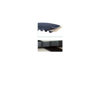 CINGHIA DENTATA FALCON PD