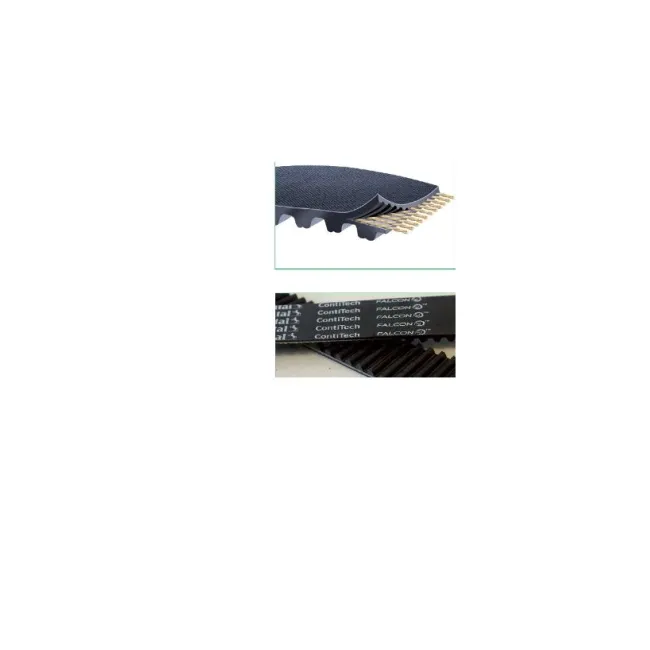CINGHIA DENTATA FALCON PD