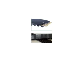 CINGHIA DENTATA FALCON PD
