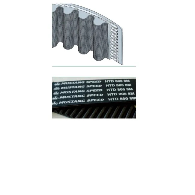 CINGHIA DENTATA MUSTANG SPEED