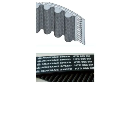 CINGHIA DENTATA MUSTANG SPEED