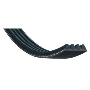 CINGHIA POLY-V L 2197 MM