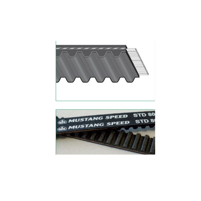CINGHIA DENTATA SUPERTORQUE