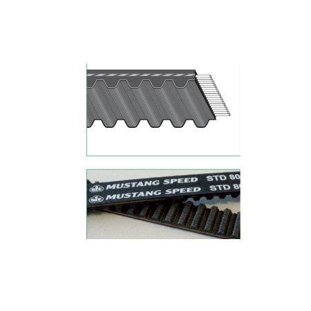 CINGHIA DENTATA SUPERTORQUE