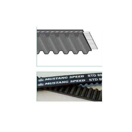 CINGHIA DENTATA SUPERTORQUE