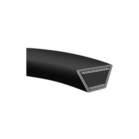 CINGHIA TRAPEZOIDALE