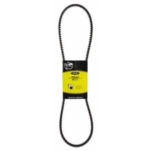 CINGHIA STANDARD G AVX10 1175