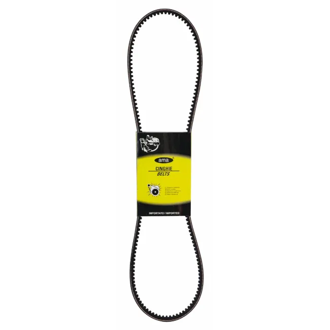 CINGHIA STANDARD G AVX10 1175