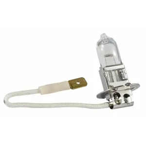 LAMPADA 12V 55W (PK22S)