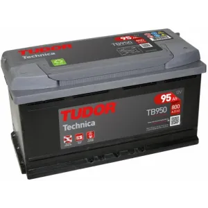 BATT.95AH,800A,353X175X190 DX