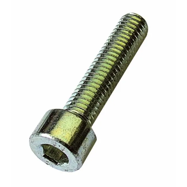 VITI LEGNO10X60 A2