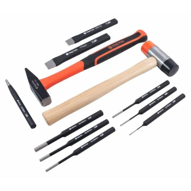 SET MARTELLI E PUNZONI(11PZ)