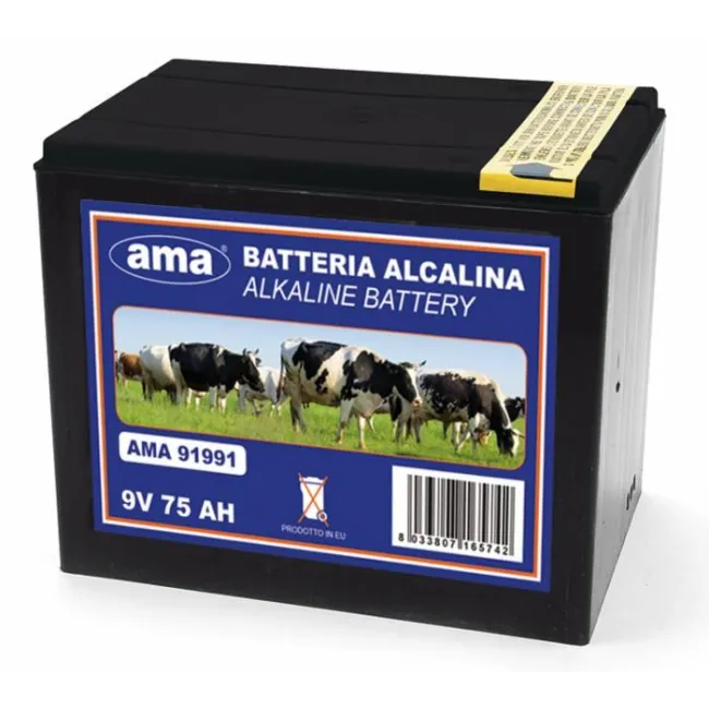PILA ALKALINA 9V120AH