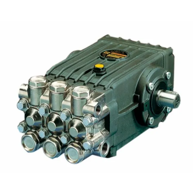 POMPA WS202 DX PER IDRO.