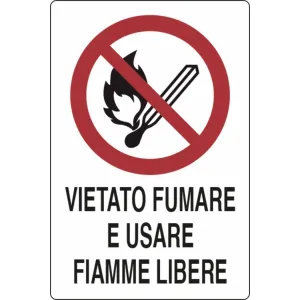 SEGNALE DIVIETO 30X20 ALL
