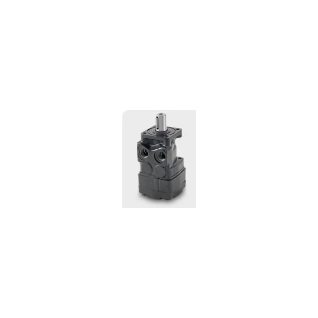 RS MOTOR 200CC ALBERO 25 FLANGIA SAEA