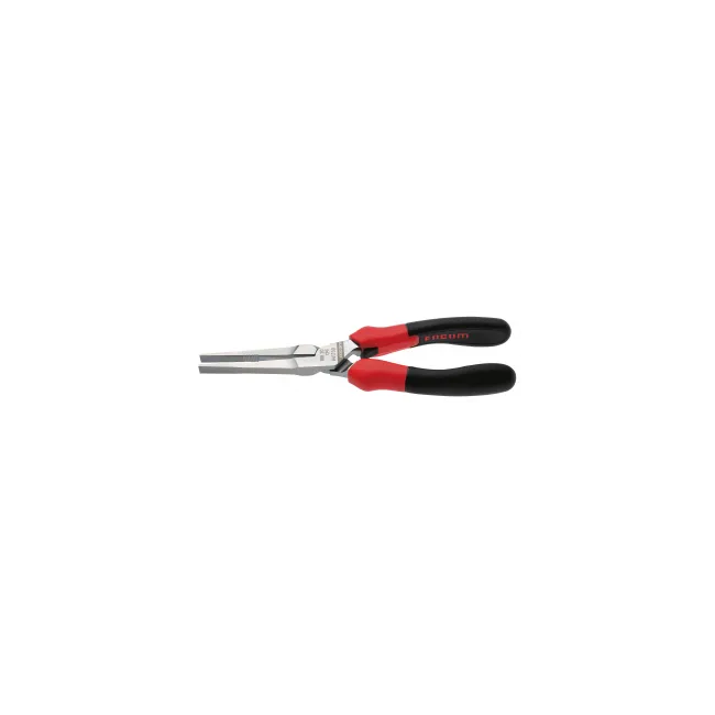 PINZA