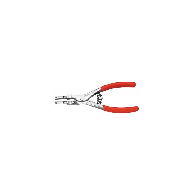 PINZA