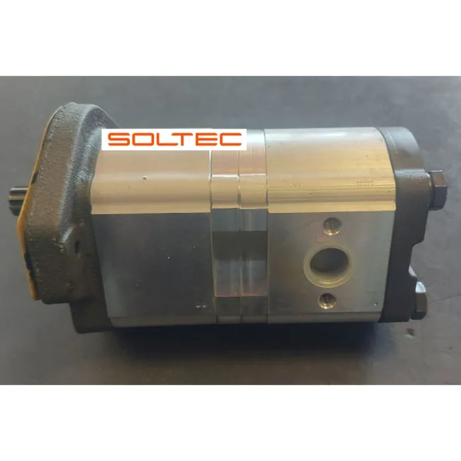 POMPA DOPPIA LANDINI BOSCH 0510465358