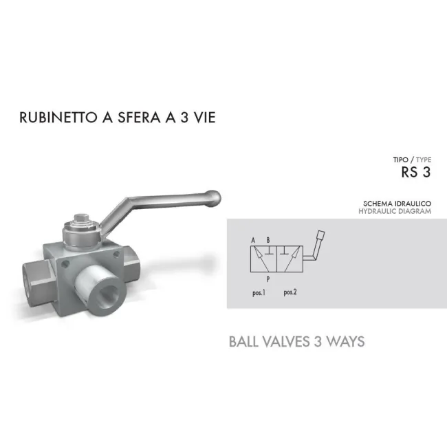 RS 3 VIE 1/4" NPT