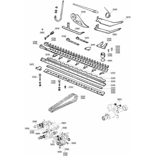 DENT.GS016/182 12D.T/TRANCIATA