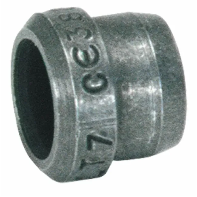 OGIVA § 8 L