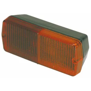 FANALE POST. 3L DX/SX CON CAT.