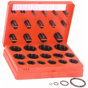 ASSORT. O-RING IN POLLICI